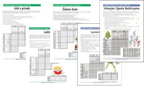 Teže logičke mozgalice za djecu - PDF listići za ispis